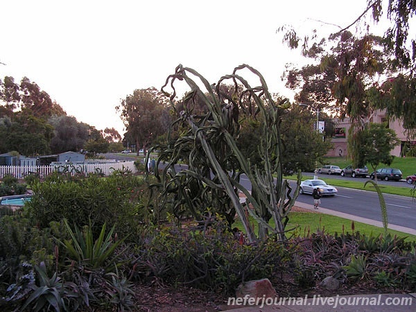 San Diego. Balboa Park.