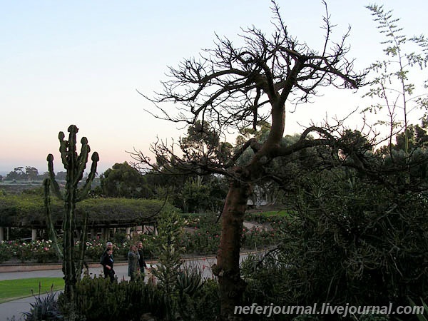 San Diego. Balboa Park.