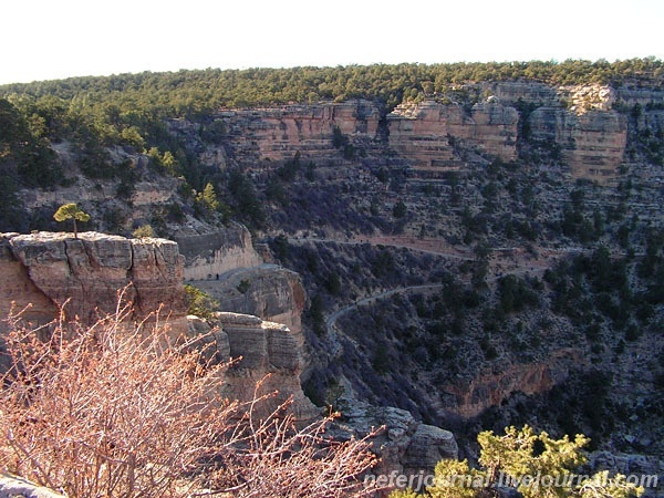 Grand Canyon. Первая обзорная точка.