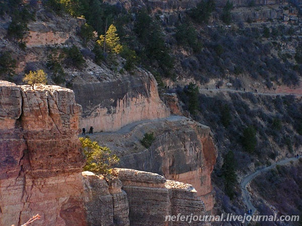 Grand Canyon. Первая обзорная точка.