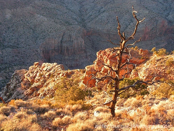 Grand Canyon. Вторая обзорная точка.