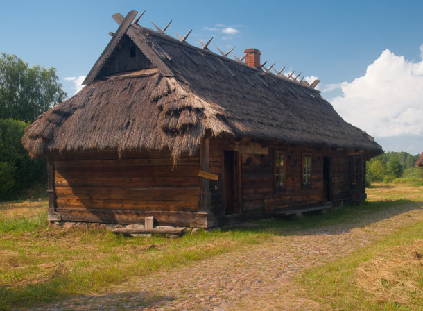 Беловежская пуща. Беларусь. Отдых в Белоруссии.