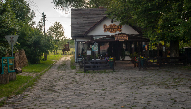 Беловежская пуща. Беларусь. Отдых в Белоруссии.